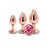 Rear Assets - Round Plug Trainer Kit - Rose Gold